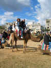 Escapade en chameau, calche et cheval
