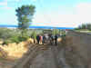 Escapade en chameau, calche et cheval
