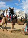 Escapade en chameau, calche et cheval