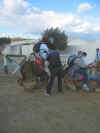 Escapade en chameau, calche et cheval