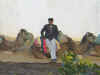 Escapade en chameau, calche et cheval